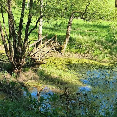 Ferienwohnung, Neu Eingerichtet, 5 Km Zur Mosel Apartman Rivenich