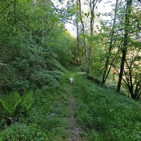 Ferienwohnung, Neu Eingerichtet, 5 Km Zur Mosel *
