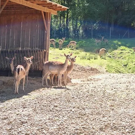 Ferienwohnung, Neu Eingerichtet, 5 Km Zur Mosel Apartman