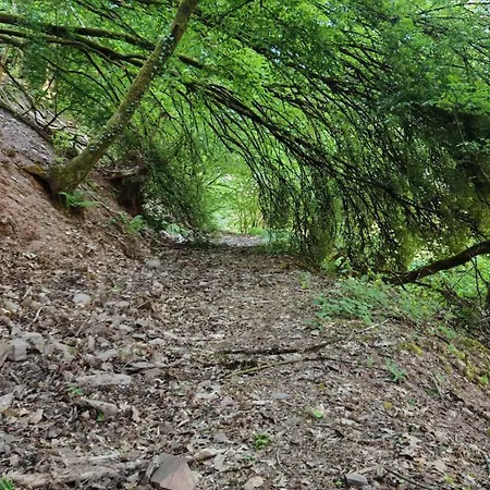 Ferienwohnung, Neu Eingerichtet, 5 Km Zur Mosel *
