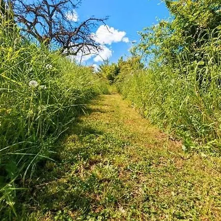 Ferienwohnung, Neu Eingerichtet, 5 Km Zur Mosel *